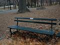 4. front view of the bench by Zanna